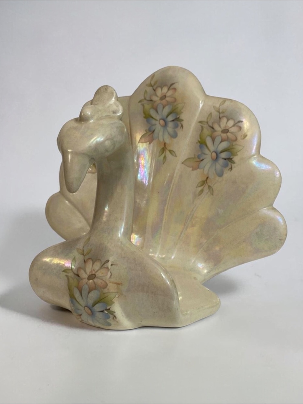 Peacock Coquille Seashell Kitchen Napkin Holder Kitchen Decor